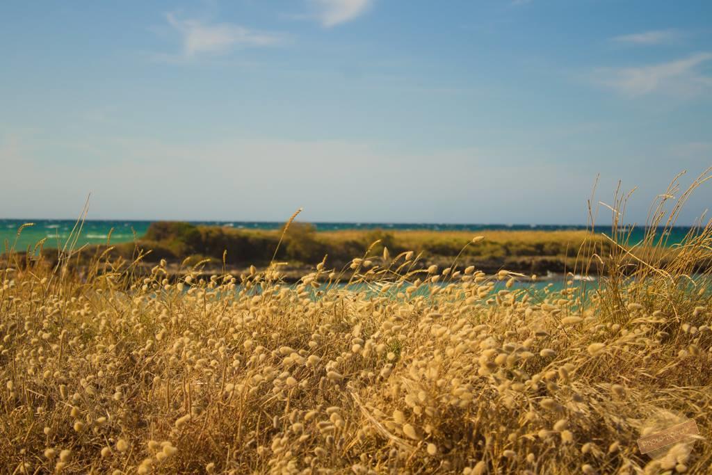 Borgo Degli Artisti Βίλα Ostuni Εξωτερικό φωτογραφία